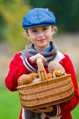 toplama mantar, mantar sezonu.