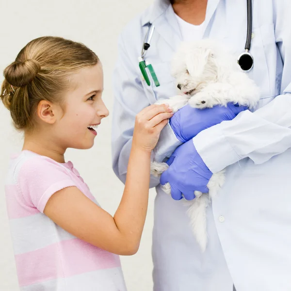 Veterinary care - lovely girl with her maltese puppy to the vet — Stock Photo, Image