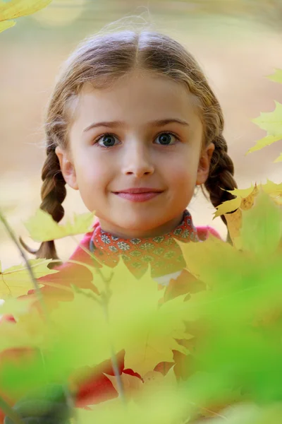 Осінь - мила дівчина насолоджується осені — стокове фото