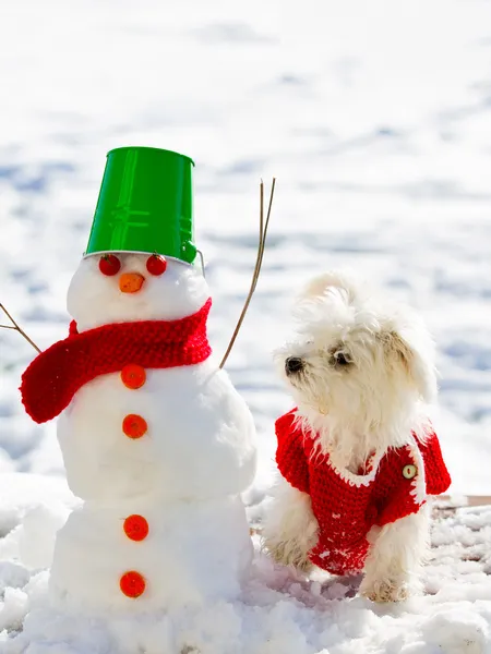 Diversión de invierno, Navidad - lindo cachorro jugando con muñeco de nieve — Foto de Stock