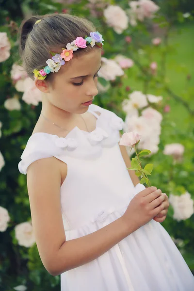 Φυτεία με τριανταφυλλιές - όμορφη κοπέλα που παίζει στον κήπο με τριανταφυλλιές — Φωτογραφία Αρχείου