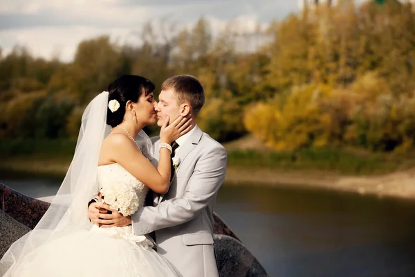 Recém-casados — Fotografia de Stock