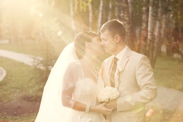 Recién casados —  Fotos de Stock