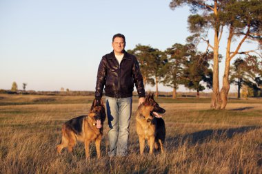 Alman çoban köpeği