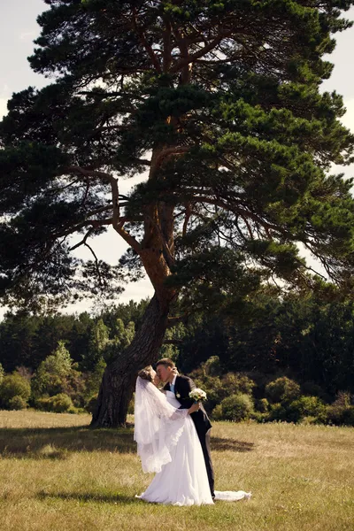 Mariée et marié embrassant — Photo