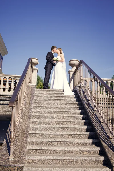 Recém-casados se beijando nas escadas — Fotografia de Stock