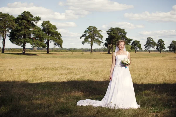 Ritratto di una bella sposa — Foto Stock