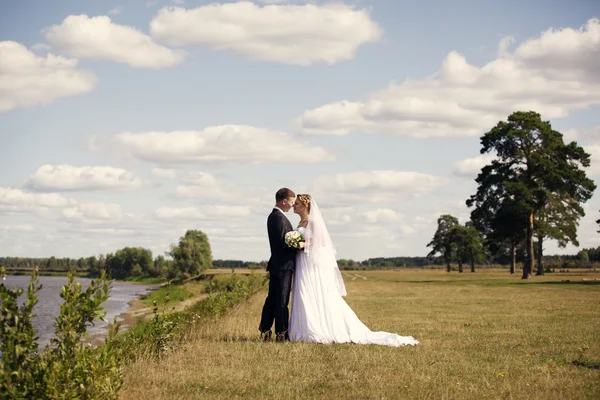 Recém-casados — Fotografia de Stock