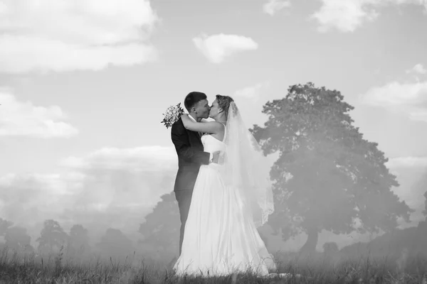 Brudgummen och bruden kyssar — Stockfoto