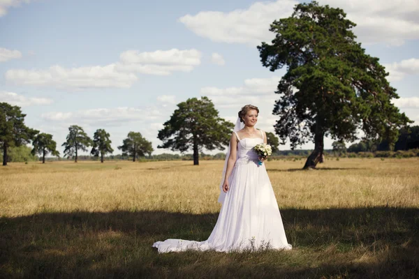 Ritratto di una bella sposa — Foto Stock