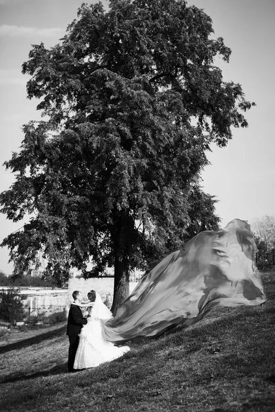 Bruden och brudgummen utomhus — Stockfoto
