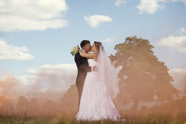 Novio y novia besándose —  Fotos de Stock