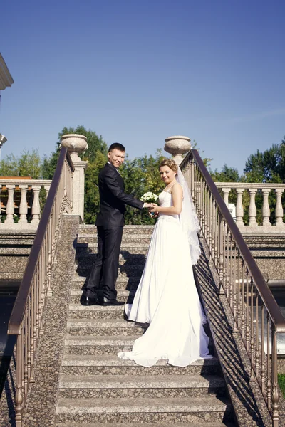 Recién casados en las escaleras — Foto de Stock