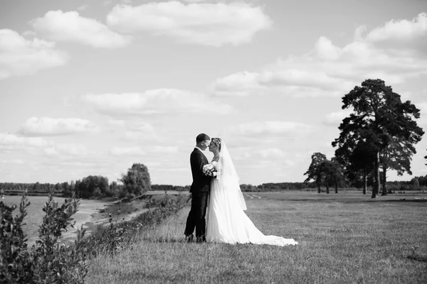 Recém-casados — Fotografia de Stock