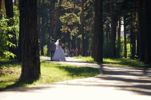 Nowożeńcy, krótkiego spaceru — Zdjęcie stockowe
