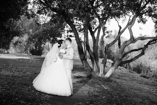 Pareja recién casada posando en el parque de otoño — Foto de Stock