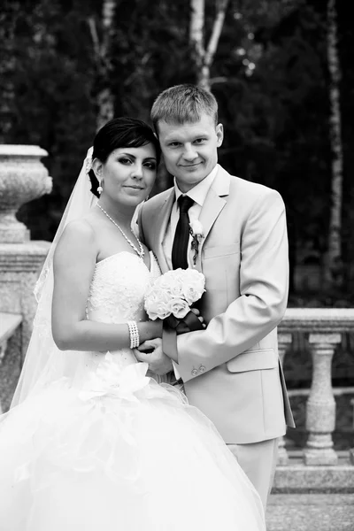 Bride and groom — Stock Photo, Image