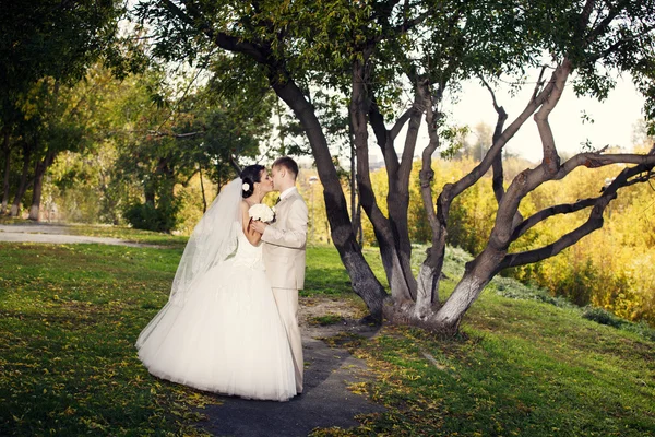 Casamento recém-casado posando no parque de outono — Fotografia de Stock