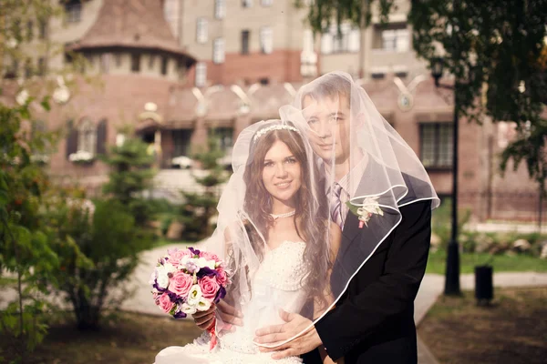 Schöne Braut und Bräutigam umarmen — Stockfoto