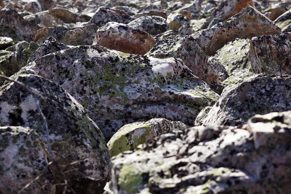 Floden av sten — Stockfoto