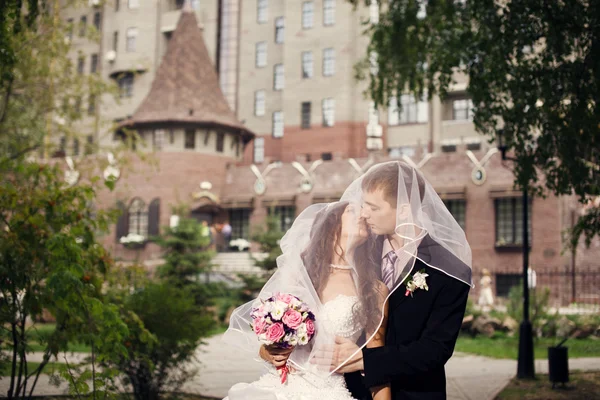 Recién casados — Foto de Stock