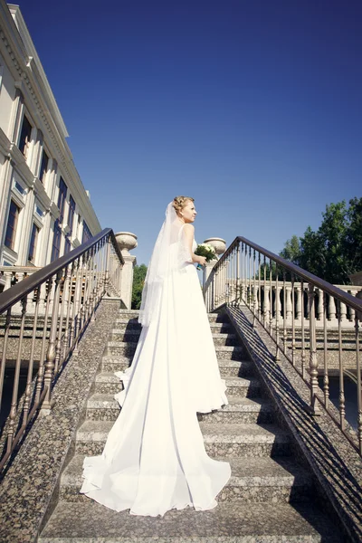 Beautiful bride — Stock Photo, Image