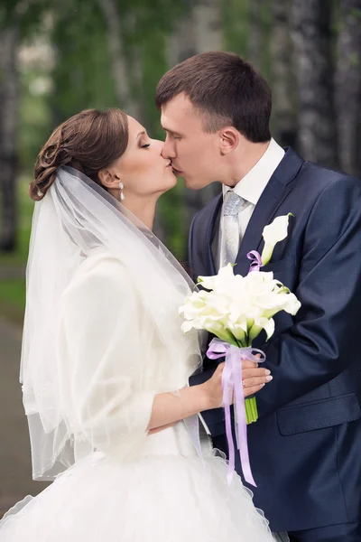 Felizes recém-casados — Fotografia de Stock