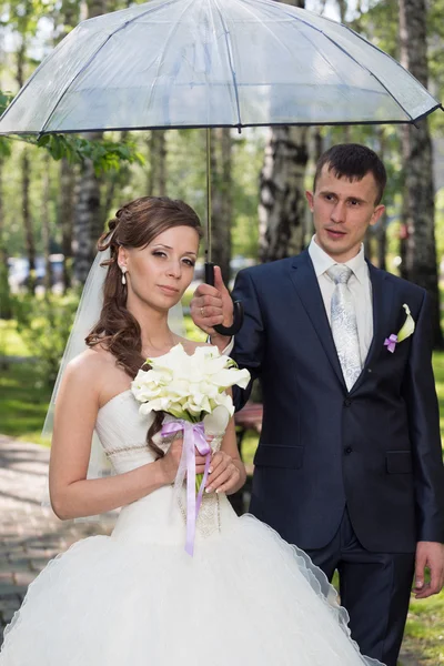 Recién casados caminan — Foto de Stock