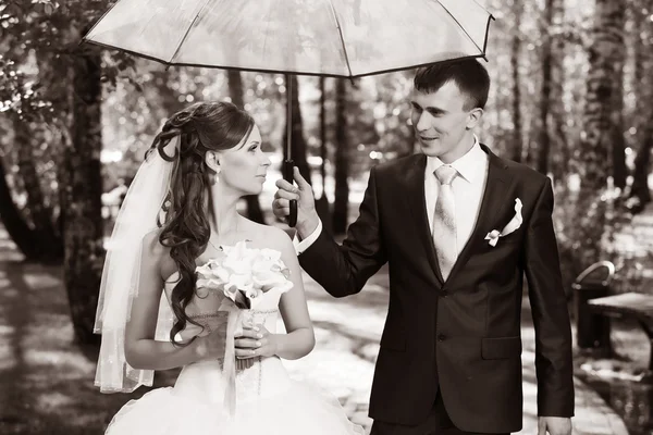 Caminhada de recém-casados — Fotografia de Stock