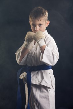 genç çocuk eğitim karate