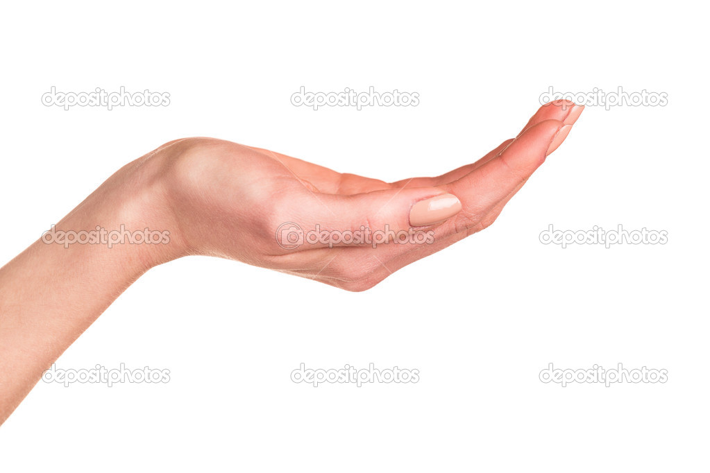 Женская рука. Ладонь вверх. Ладонь вверх. Протянутые ладони. Протягивает ладонь.