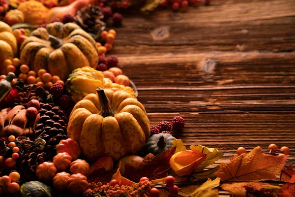 Kompozycja Jesienna Rustykalnym Drewnianym Tle Dekoracyjne Dynie Różne Liście Szyszki — Zdjęcie stockowe
