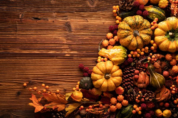 Herbstliche Komposition Auf Rustikalem Holzgrund Zierkürbisse Verschiedene Blätter Tannenzapfen Nüsse — Stockfoto