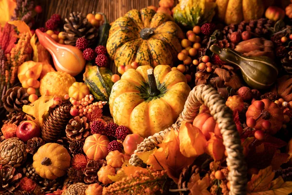 Herbstliche Komposition Auf Rustikalem Holzgrund Zierkürbisse Verschiedene Blätter Tannenzapfen Nüsse — Stockfoto