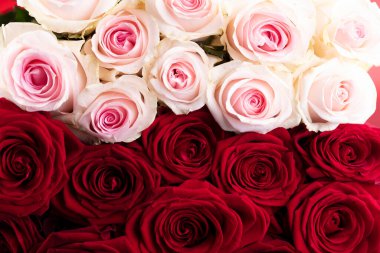 Anneler Günü konsepti. Anneye hediye - bir buket gül. 