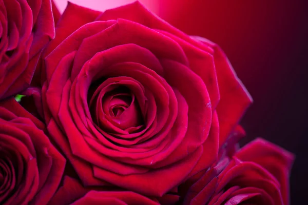 母亲节的概念 送给母亲的礼物 一束玫瑰 — 图库照片