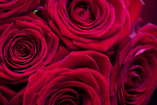 Conceito Dia Das Mães Presente Mãe Buquê Rosas — Fotografia de Stock