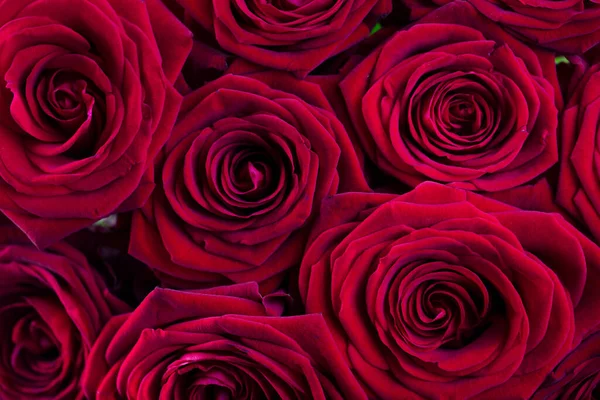 Conceito Dia Das Mães Presente Mãe Buquê Rosas — Fotografia de Stock