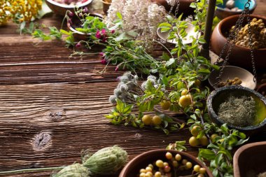 Doğal tıp geçmişi. Kırsal ahşap masadaki çeşitli kuru otlar, havan ve bitkiler..