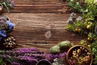 Doğal tıp geçmişi. Kırsal ahşap masadaki çeşitli kuru otlar, havan ve bitkiler..