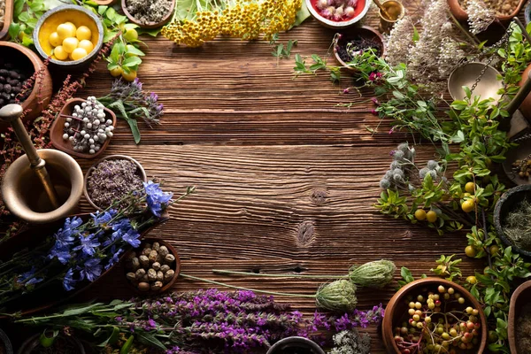 Antecedentes Medicina Natural Ervas Secas Sortidas Tigelas Argamassa Plantas Mesa — Fotografia de Stock