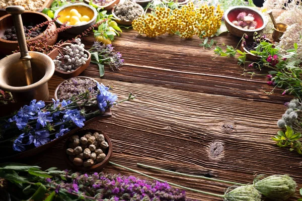 Natural Medicine Background Assorted Dry Herbs Bowls Mortar Plants Rustic — Foto Stock