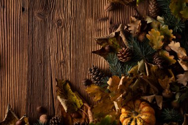 Kırsal ahşap arka planda sonbahar kompozisyonu. Dekoratif balkabakları, çeşitli yapraklar, kozalaklar, fındıklar. Turuncu, sarı, kırmızı ve kahverengi estetik.. 