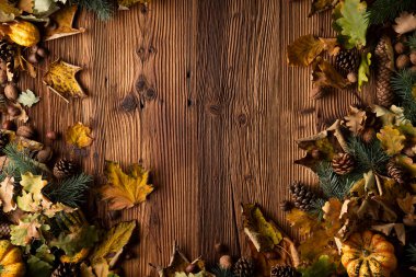 Kırsal ahşap arka planda sonbahar kompozisyonu. Dekoratif balkabakları, çeşitli yapraklar, kozalaklar, fındıklar. Turuncu, sarı, kırmızı ve kahverengi estetik.. 