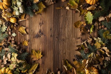 Kırsal ahşap arka planda sonbahar kompozisyonu. Dekoratif balkabakları, çeşitli yapraklar, kozalaklar, fındıklar. Turuncu, sarı, kırmızı ve kahverengi estetik.. 