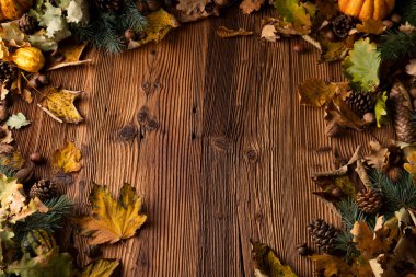 Kırsal ahşap arka planda sonbahar kompozisyonu. Dekoratif balkabakları, çeşitli yapraklar, kozalaklar, fındıklar. Turuncu, sarı, kırmızı ve kahverengi estetik.. 