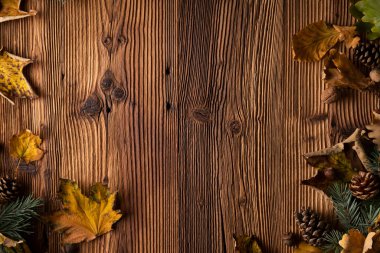 Kırsal ahşap arka planda sonbahar kompozisyonu. Dekoratif balkabakları, çeşitli yapraklar, kozalaklar, fındıklar. Turuncu, sarı, kırmızı ve kahverengi estetik.. 