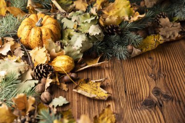Kırsal ahşap arka planda sonbahar kompozisyonu. Dekoratif balkabakları, çeşitli yapraklar, kozalaklar, fındıklar. Turuncu, sarı, kırmızı ve kahverengi estetik.. 