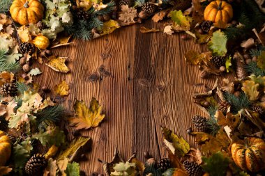 Kırsal ahşap arka planda sonbahar kompozisyonu. Dekoratif balkabakları, çeşitli yapraklar, kozalaklar, fındıklar. Turuncu, sarı, kırmızı ve kahverengi estetik.. 