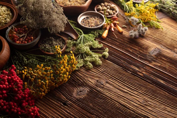 Natural Medicine Background Assorted Dry Herbs Bowls Mortar Plants Rustic — Φωτογραφία Αρχείου